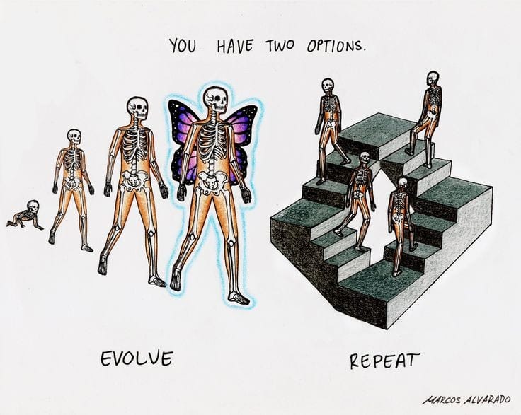 The meme is a humorous illustration of the concept of reincarnation or rebirth. It features a simple drawing of a skeleton with a butterfly or a flower emerging from its body, implying a transformation from death to new life. The text at the top reads "You have two options" and the bottom says "Evolve or Repeat".
